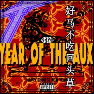 YEAR OF THE AUX