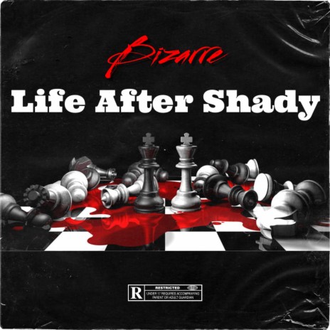 Life After Shady | Boomplay Music