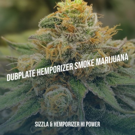 Dubplate Hemporizer Smoke Marijuana ft. Hemporizer Hi Power | Boomplay Music