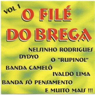 O Filé Do Brega Vol. 1