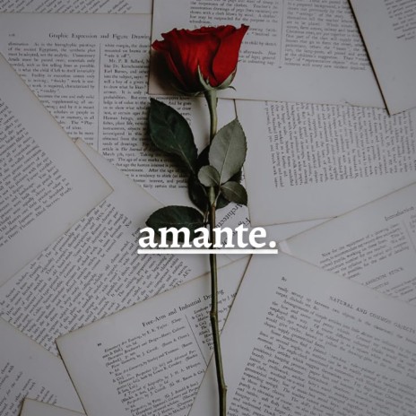 Amante | Boomplay Music