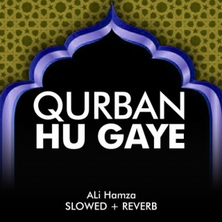 Qurban Hu Gaye Lofi