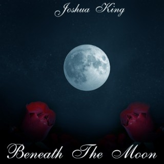 Beneath The Moon (Slowed + Reverb) lyrics | Boomplay Music