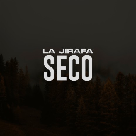 Seco | Boomplay Music