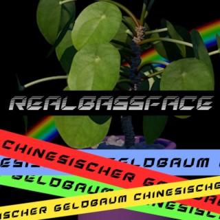 Chinesischer Geldbaum