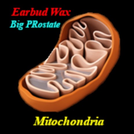 Mitochondria ft. BIG PROSTATE | Boomplay Music