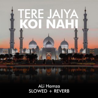 Tere Jaiya Koi Nahi Lofi