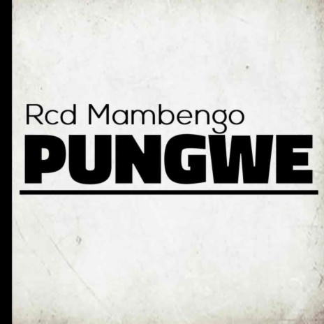 Pungwe | Boomplay Music