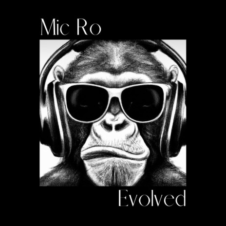 Evolved (Instrumental) | Boomplay Music