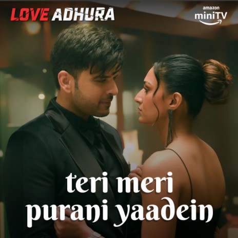 Teri Meri Purani Yaadein | Boomplay Music