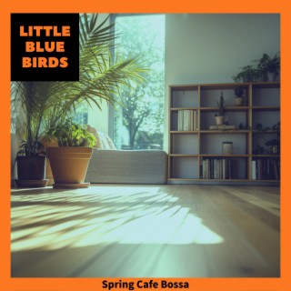 Spring Cafe Bossa