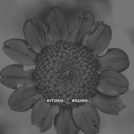 Razia ft. Arándano, Kitoko Sound, Din BEATS & Afro Dark