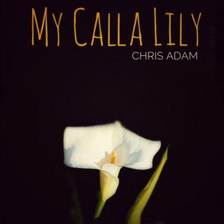 My Calla Lily lyrics | Boomplay Music