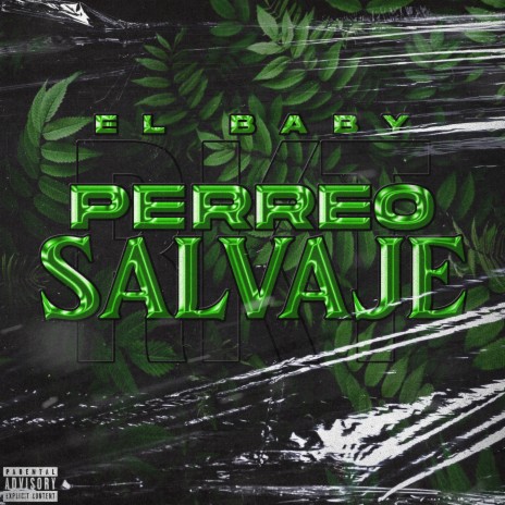 Perreo Salvaje | Boomplay Music