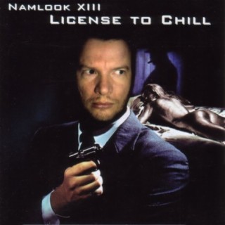 Namlook XIII (License To Chill)