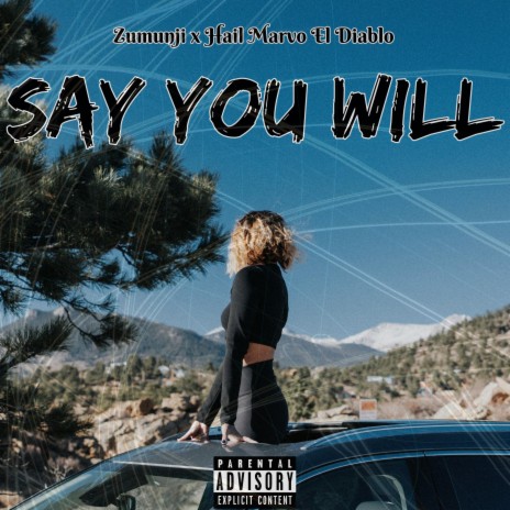 Say You Will ft. Hail Marvo El Diablo | Boomplay Music