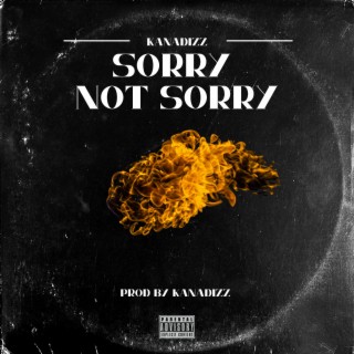 Sorry Not Sorry (Radio Edit)