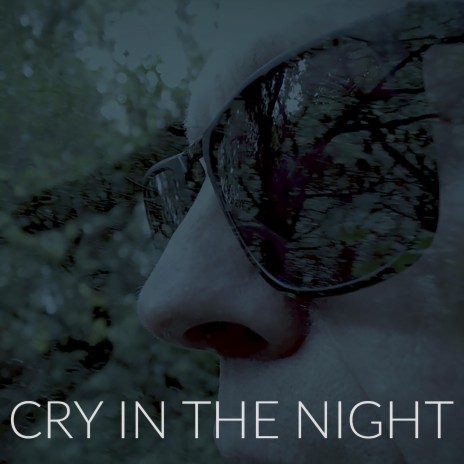 Cry in the Night | Boomplay Music