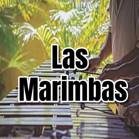 Las Marimbas (REMIX) ft. Dj Kury