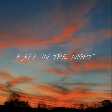 fall in the night | Boomplay Music