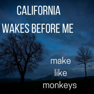 California Wakes Before Me