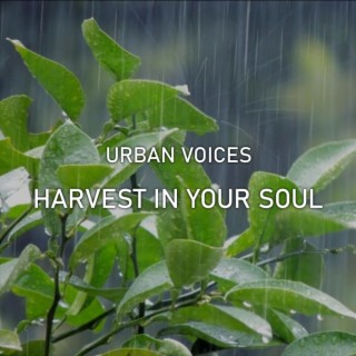 Harvest In Your Soul