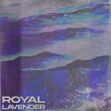 Royal Lavender