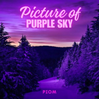 Picture of Purple Sky