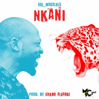 Nkani lyrics | Boomplay Music