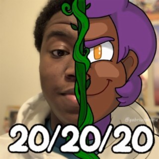 20/20/20