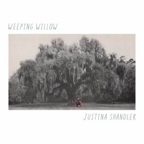 Weeping Willow | Boomplay Music