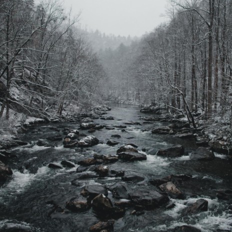 Prayer In The Forest | Boomplay Music