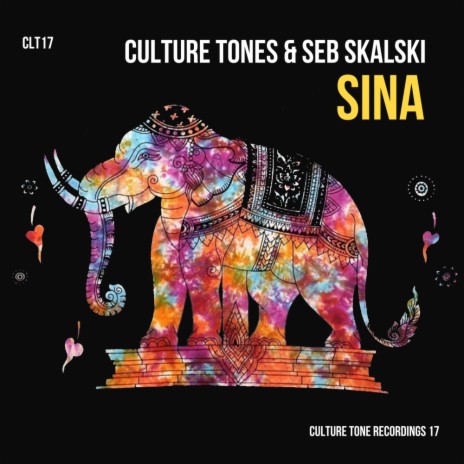 Sina ft. Culture Tones | Boomplay Music