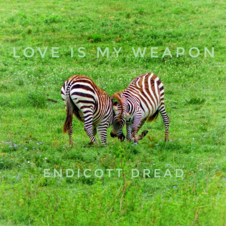 Love Is My Weapon | Boomplay Music