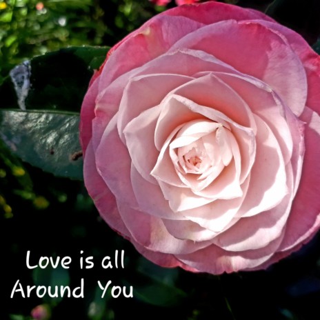 Love is all Around You | Boomplay Music