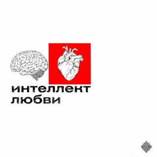 Интеллект любви