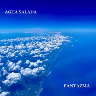 Agua Salada lyrics | Boomplay Music