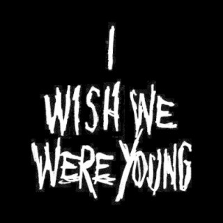 I Wish We Were Young