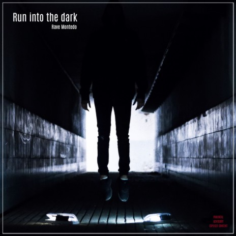 Run into the Dark | Boomplay Music