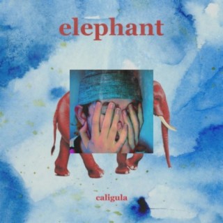 Elephant (feat. Macky)