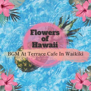 BGM At Terrace Cafe In Waikiki