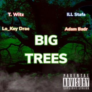 Big Trees ft. Lo_Key Drae, ILL Stafa & Adam Badr lyrics | Boomplay Music