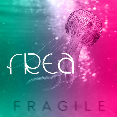 Fragile | Boomplay Music