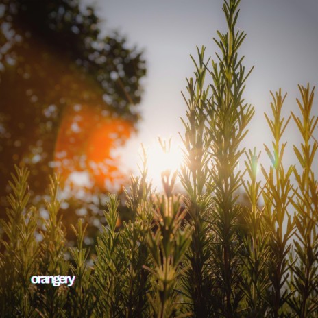 Rosemary ft. Lesfm | Boomplay Music