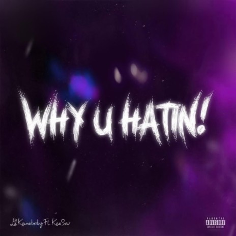WHY U HATIN! ft. KaeSav & X2flee | Boomplay Music