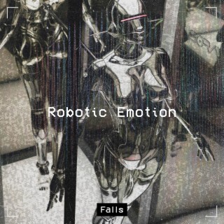 Robotic Emotion