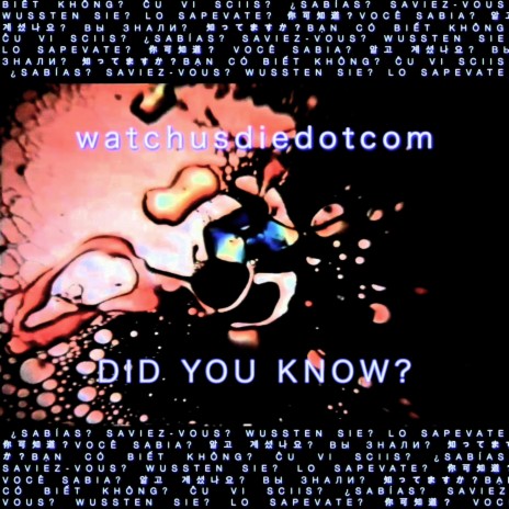 Did You Know? | Boomplay Music