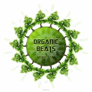 Organic Beats Vol.1