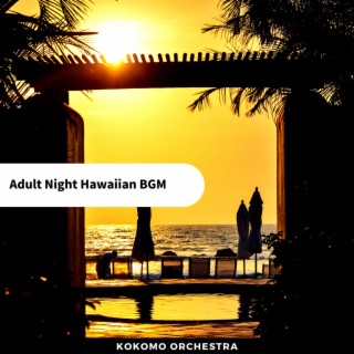 Adult Night Hawaiian BGM