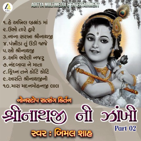 Shrinathji Ni Zankhi-Nonstop Satsang Kirtan Part 02 | Boomplay Music